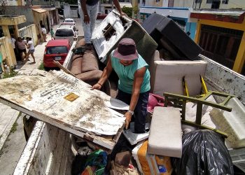 ARRASAN CON LOS CRIADEROS DE MOSQUITOS EN «LA ISLA DE LAS GOLONDRINAS»