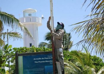 DAN MANTENIMIENTO A LUMINARIAS DEL CASCO ANTIGUO EN PUERTO MORELOS