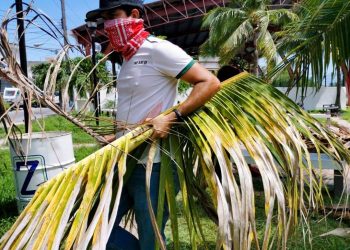 SE SUMA PERSONAL DEL DIF A LA LIMPIEZA DE PARQUES EN ISLA MUJERES