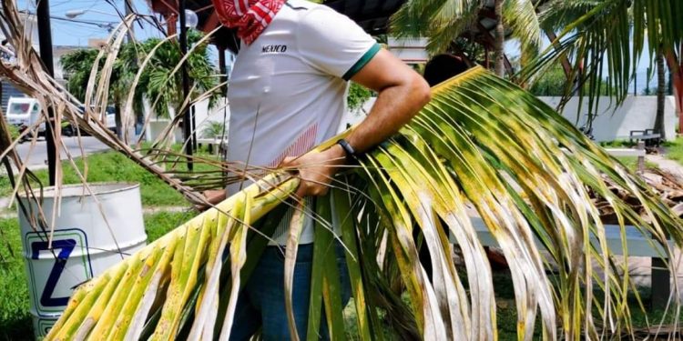 SE SUMA PERSONAL DEL DIF A LA LIMPIEZA DE PARQUES EN ISLA MUJERES