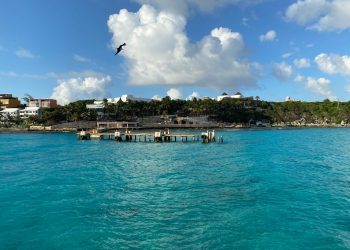 THE DOLPHIN COMPANY CONTRIBUYE CON LA REACTIVACIÓN TURÍSTICA DE MÉXICO