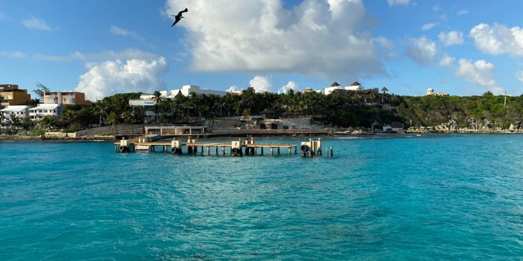 THE DOLPHIN COMPANY CONTRIBUYE CON LA REACTIVACIÓN TURÍSTICA DE MÉXICO