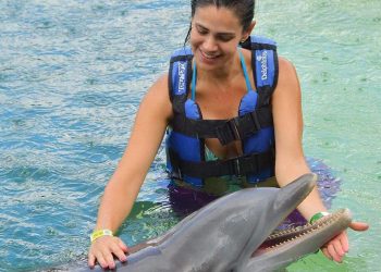 CON LA REAPERTURA DE 4 HÁBITATS, DELPHINUS YA OPERA AL PÚBLICO SUS 7 HÁBITATS.