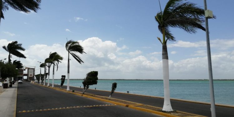 LA CAMPAÑA PARA LA REACTIVACIÓN DEL TURISMO SE HARÁ DE FORMA DIGITAL