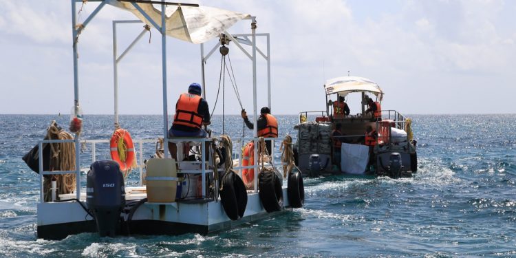 PLAYAS LIMPIAS CON BARRERA DE CONTENCIÓN DE SARGAZO
