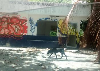 MODIFICAN REGLAMENTO DEL INSTITUTO MUNICIPAL DE LAS MUJERES PARA REHABILITACIÓN DE CASETAS