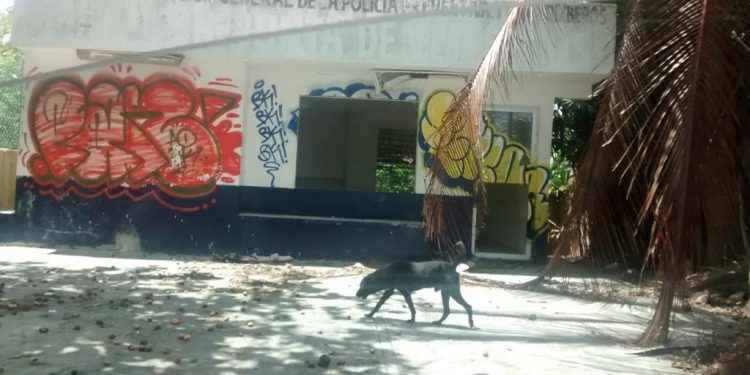 MODIFICAN REGLAMENTO DEL INSTITUTO MUNICIPAL DE LAS MUJERES PARA REHABILITACIÓN DE CASETAS