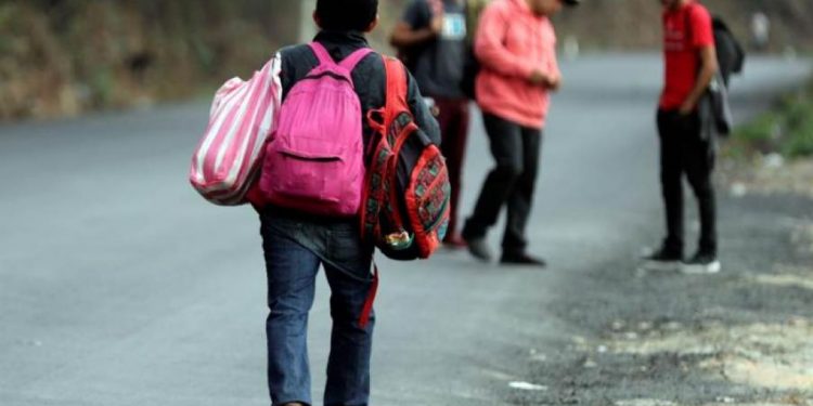 COLABORAN DEPENDENCIAS FEDERALES CON ACNUR PARA FACILITAR INCORPORACIÓN DE PERSONAS PROFESIONALES DE LA SALUD REFUGIADAS Y SOLICITANTES