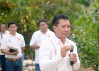 JESÚS POOL SE DECLARA INDEPENDIENTE