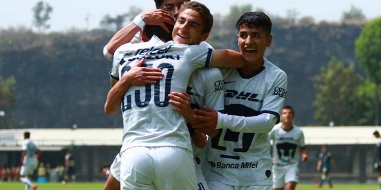 APRUEBAN REGISTRO DE PUMAS TABASCO