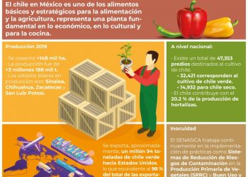RECONOCE GOBIERNO DE MÉXICO LA IMPORTANCIA DEL CHILE EN IDENTIDAD CULTURAL Y GASTRONÓMICA DEL PAÍS