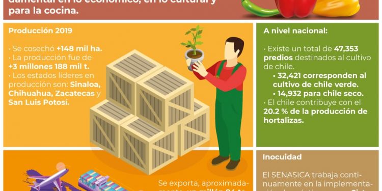 RECONOCE GOBIERNO DE MÉXICO LA IMPORTANCIA DEL CHILE EN IDENTIDAD CULTURAL Y GASTRONÓMICA DEL PAÍS