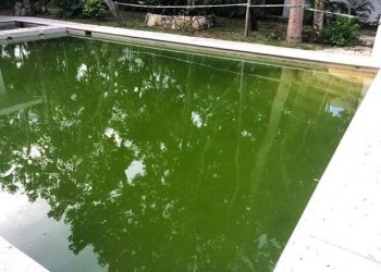 ABANDONAN SERVICIOS EN RESIDENCIAL DE PUERTO MORELOS