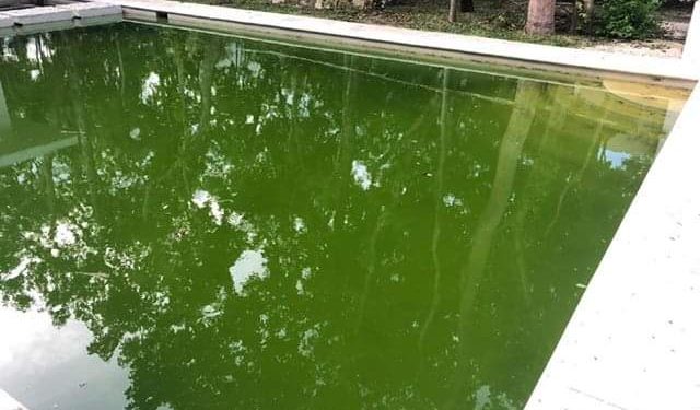 ABANDONAN SERVICIOS EN RESIDENCIAL DE PUERTO MORELOS