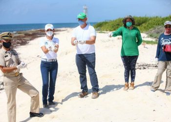 PARTICIPA PRESIDENTA MUNICIPAL DE PUERTO MORELOS EN JORNADA DE LIBERACIÓN DE TORTUGAS