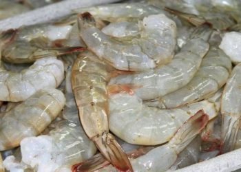 UN CARGAMENTO DE CAMARONES EN CHINA FUE DETECTADO CON COVID-19