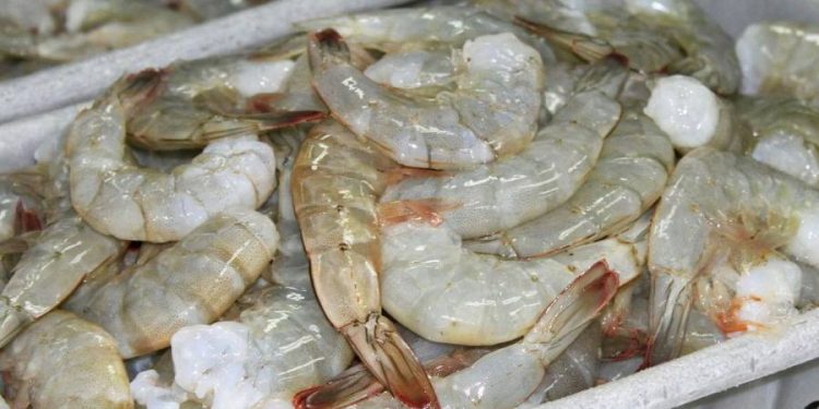 UN CARGAMENTO DE CAMARONES EN CHINA FUE DETECTADO CON COVID-19