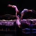 CIRQUE DU SOLEIL JOYÁ REANUDA FUNCIONES EL 3 DE JULIO EN LA RIVIERA MAYA