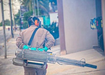 CONCLUIRÁ EN ISLA MUJERES PRIMERA FASE DEL COMBATE AL AEDES AEGYPTI