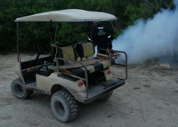 COMIENZA LA FUMIGACIÓN DE LA ISLA PARA PREVENIR ENFERMEDADES POR MOSQUITOS.