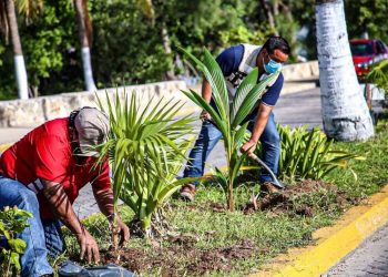 FOMENTA GOBIERNO MUNICIPAL CUIDADO AMBIENTAL CON REFORESTACIÓN DE PLANTAS