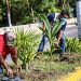 FOMENTA GOBIERNO MUNICIPAL CUIDADO AMBIENTAL CON REFORESTACIÓN DE PLANTAS