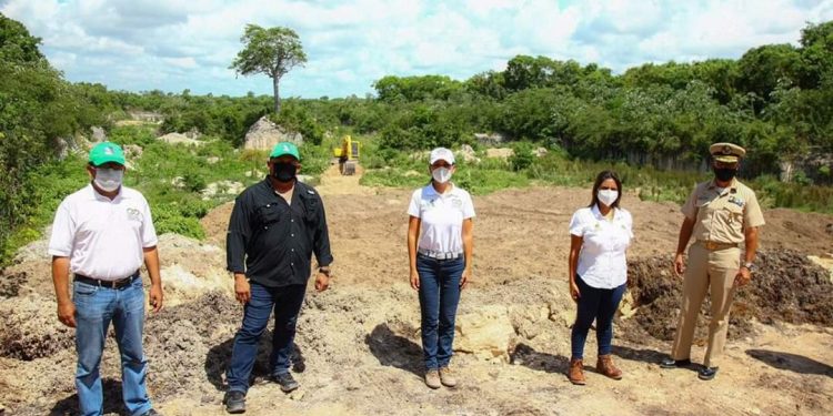 BUSCAN DARLE MANEJO ADECUADO AL SARGAZO EN PUERTO MORELOS
