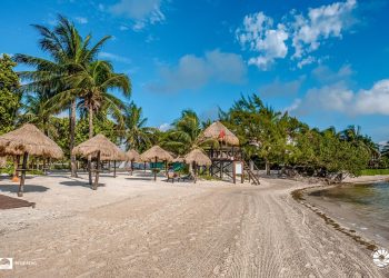 QUINTANA ROO, DE LOS ESTADOS MÁS AFECTADOS POR EL COVID 19