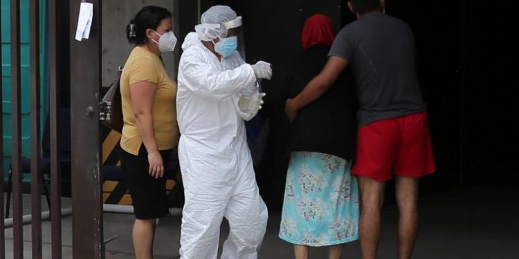 COSTA RICA ANUNCIA QUE ANTICUERPOS EQUINOS NEUTRALIZAN EL CORONAVIRUS