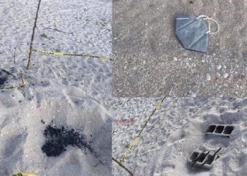 DENUNCIAN DESTRUCCIÓN DE NIDOS DE TORTUGA EN PLAYAS DE CHUBURNÁ