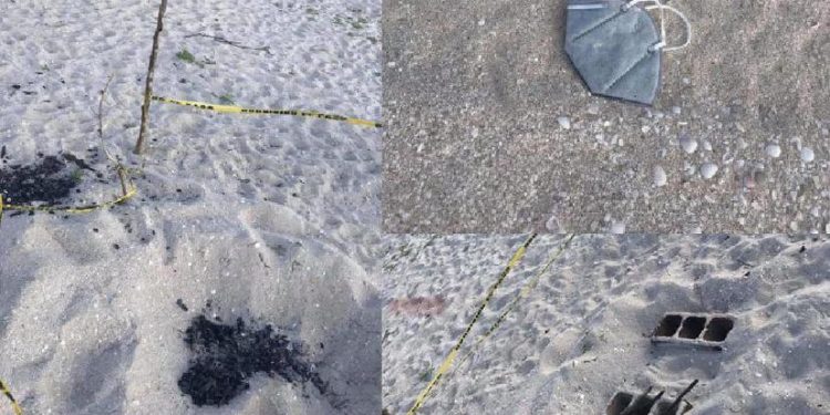 DENUNCIAN DESTRUCCIÓN DE NIDOS DE TORTUGA EN PLAYAS DE CHUBURNÁ