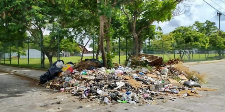 PIDEN A LA CIUDADANÍA REPORTAR LA PRESENCIA DE BASUREROS CLANDESTINOS