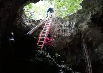REVELA REGIDORA HISTORIA DE UN COCODRILO QUE HABITA EN UN CENOTE Y LA GENTE LO ALIMENTA CON PERROS Y GATOS