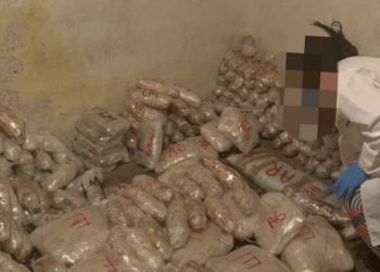 LA FGR, CON APOYO DE SEDENA, ASEGURÓ MÁS DE MEDIA TONELADA DE CRISTAL Y DIVERSAS SUSTANCIAS