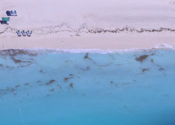 INSTALAN BARRERA ANTISARGAZO DE 4 MIL METROS EN QUINTANA ROO