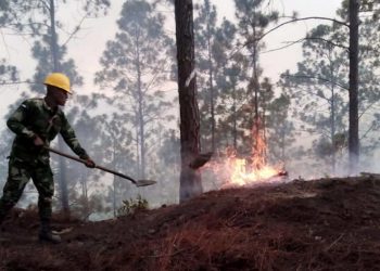 MUEREN SEIS TRAS INCENDIO FORESTAL EN UCRANIA; HAY NUEVE HERIDOS