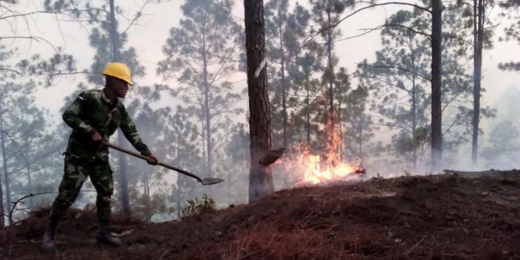 MUEREN SEIS TRAS INCENDIO FORESTAL EN UCRANIA; HAY NUEVE HERIDOS