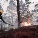 MUEREN SEIS TRAS INCENDIO FORESTAL EN UCRANIA; HAY NUEVE HERIDOS