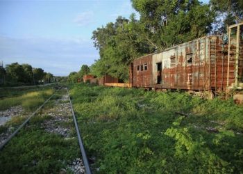 OBRAS DE TREN MAYA PODRÁN SER VIGILADAS POR COMUNIDADES: INAI