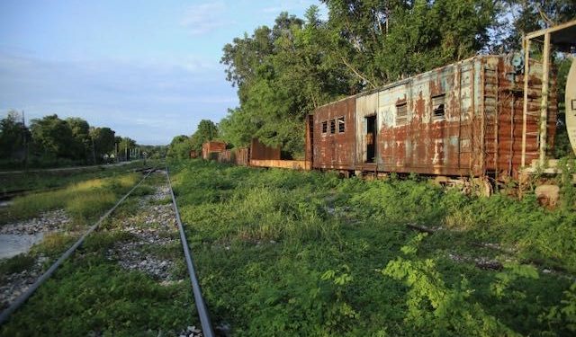 OBRAS DE TREN MAYA PODRÁN SER VIGILADAS POR COMUNIDADES: INAI