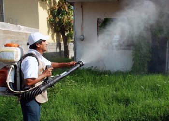 TABASCO, EN SEGUNDO LUGAR A NIVEL NACIONAL EN TASA DE INCIDENCIA DE DENGUE: SINAVE