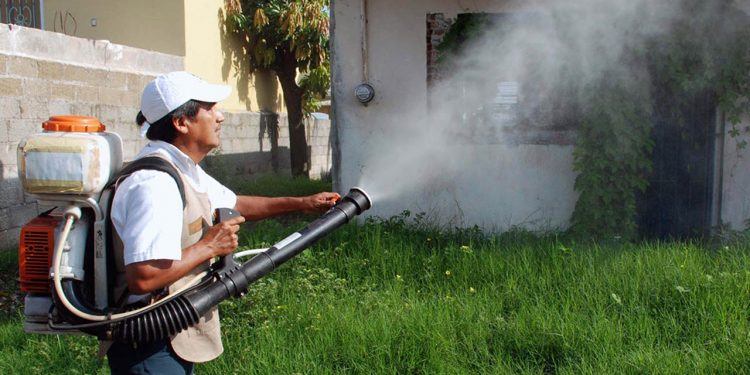 TABASCO, EN SEGUNDO LUGAR A NIVEL NACIONAL EN TASA DE INCIDENCIA DE DENGUE: SINAVE