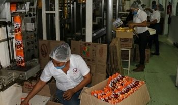 TRAMITAN MÁS DE 1,200 CRÉDITOS EN EL PROGRAMA ‘IMPULSO TABASCO’