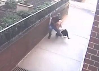 VIDEO: LADRONES USAN JERINGA COMO NUEVO ‘MODUS OPERANDI’ PARA ASALTAR EN LA CDMX