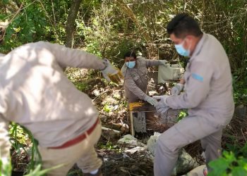 GRACIAS A LAS ACCIONES IMPLEMENTADAS POR EL GOBIERNO DE PEDRO JOAQUÍN, COZUMEL SE MANTIENE LIBRE DE DENGUE, ZIKA Y CHIKUNGUNYA