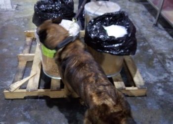 ADUANAS, SECRETARÍA DE MARINA Y LA GUARDIA NACIONAL DECOMISARON 113 KG DE FENTANILO EN EL AICM