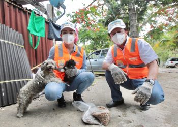 AHORRO EN PIROTECNIA DE FIESTAS PATRIAS A ESTERILIZACIÓN DE MASCOTAS: VMT.