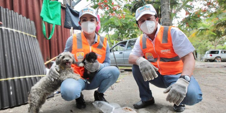 AHORRO EN PIROTECNIA DE FIESTAS PATRIAS A ESTERILIZACIÓN DE MASCOTAS: VMT.