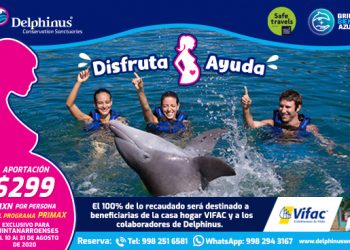 DELPHINUS Y VIFAC CONVOCAN A QUINTANARROENSES A APOYAR MUJERES EMBARAZADAS EN SITUACIÓN DE VULNERABILIDAD.