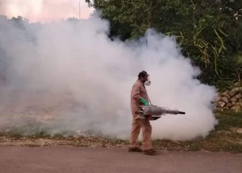 COMBATEN CON FUMIGACIÓN AL DENGUE EN FRANCISCO MAY